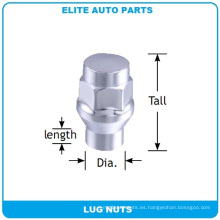 Et Bulge Lug Nuts para automóvil